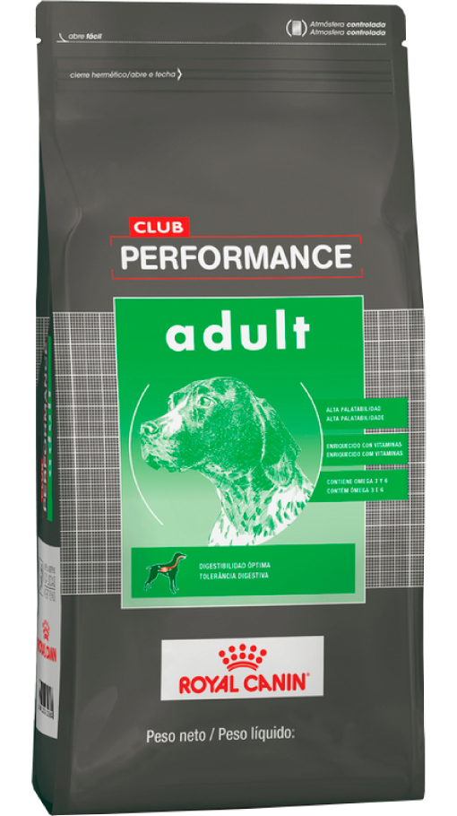 Royal Canin Mini Adult